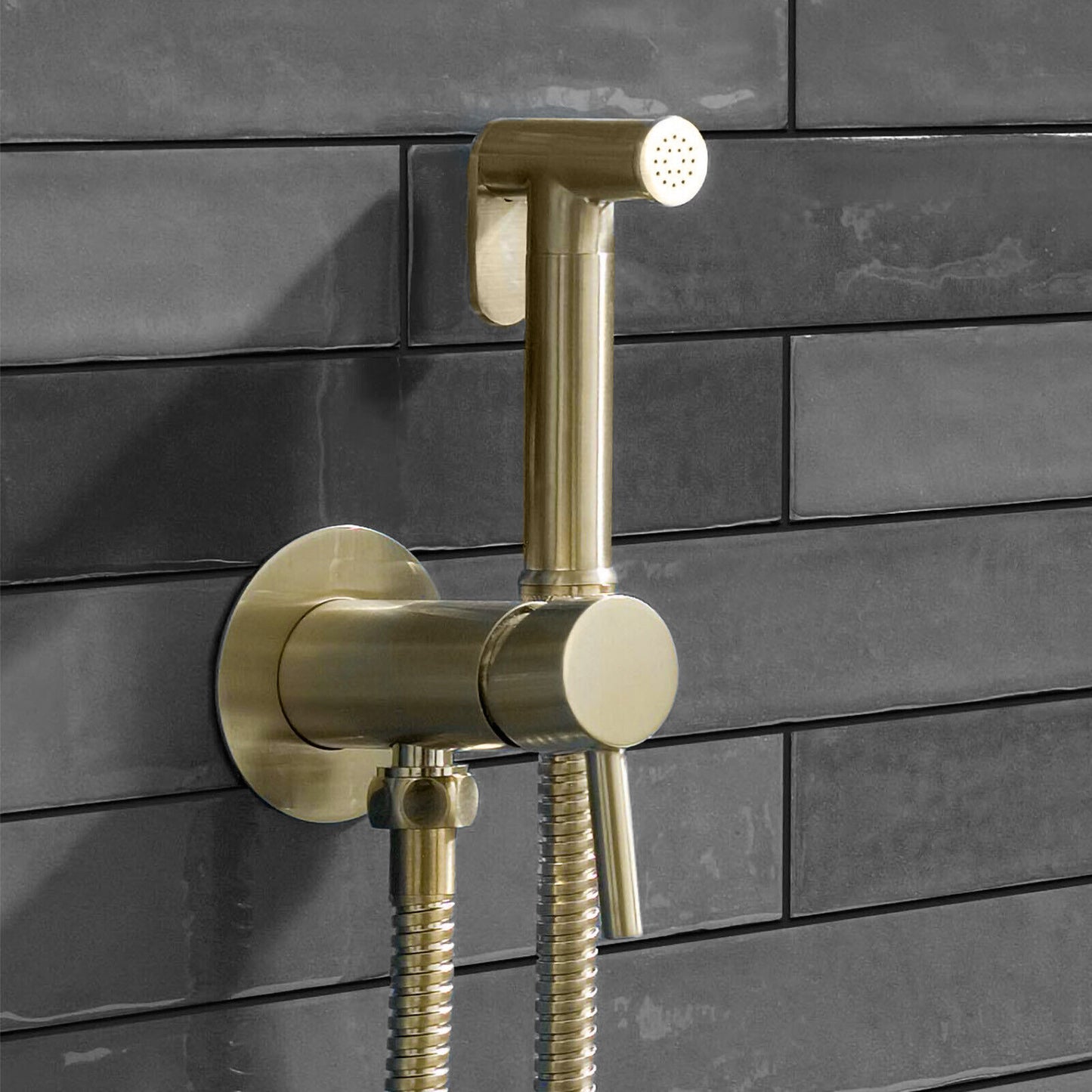 Scudo Douche Handset, Flexi, Holder and Outlet Elbow Brushed Brass