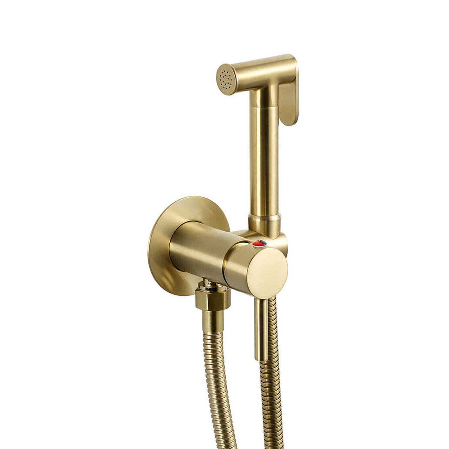 Scudo Douche Handset, Flexi, Holder and Outlet Elbow Brushed Brass